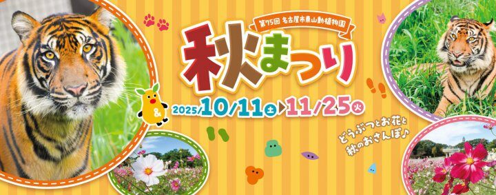 第75回東山動植物園秋まつり｜10月11日（土）〜11月25日（火）名古屋の秋を彩る動物＆植物イベント🍁